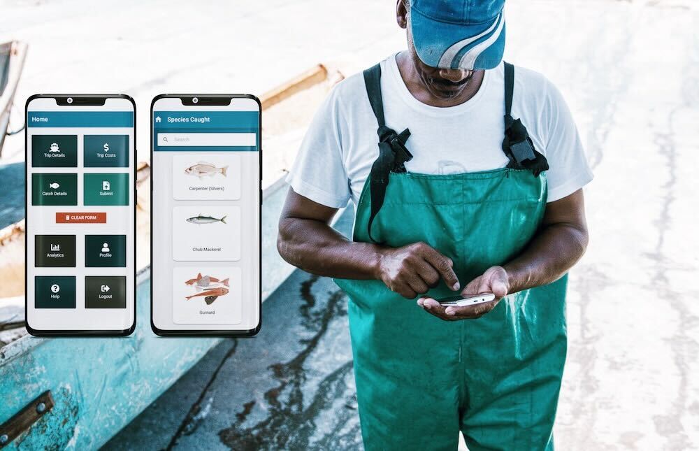 魚のトレーサビリティを担保するアプリ「ABALOBI」