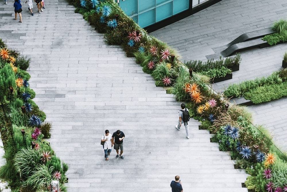 「草花」が、歩きたくなるまちのリズムをつくる。都市デザインにおける植物の重要性