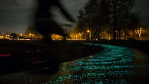 ゴッホの絵をモチーフにした、電力なしで光る自転車道「Van Gogh Path」
