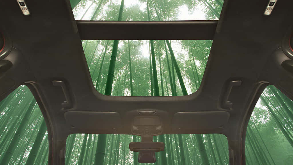 車のインテリアに竹素材を使用へ。フォードの持続可能な車づくり