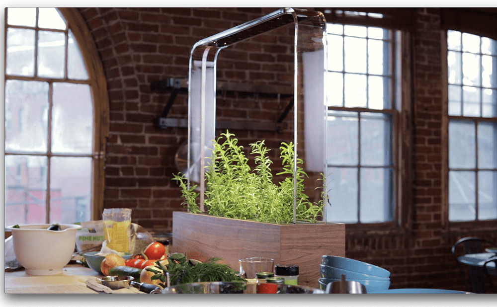 MITのエンジニアが開発した自宅で野菜が栽培できるスマートガーデン「The Herb Garden」