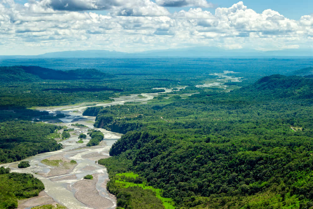 アマゾンの熱帯雨林が目の前に。VRで森林保護に取り組むSCジョンソン