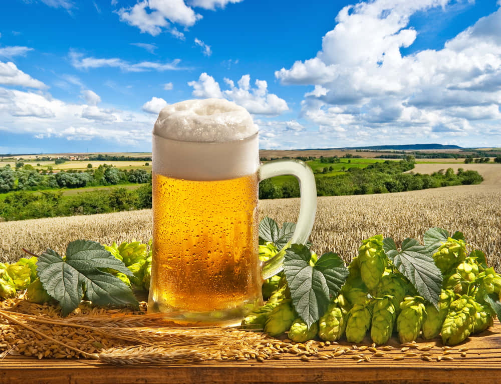ビールの美味しさはそのまま。世界最大ブルワリーが製造するエコな泡
