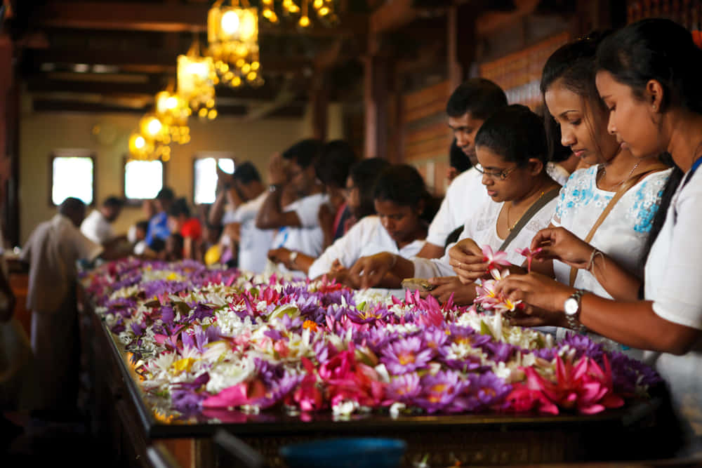 スリランカの大量に捨てられていた花で作る塗料「Petal Paint」